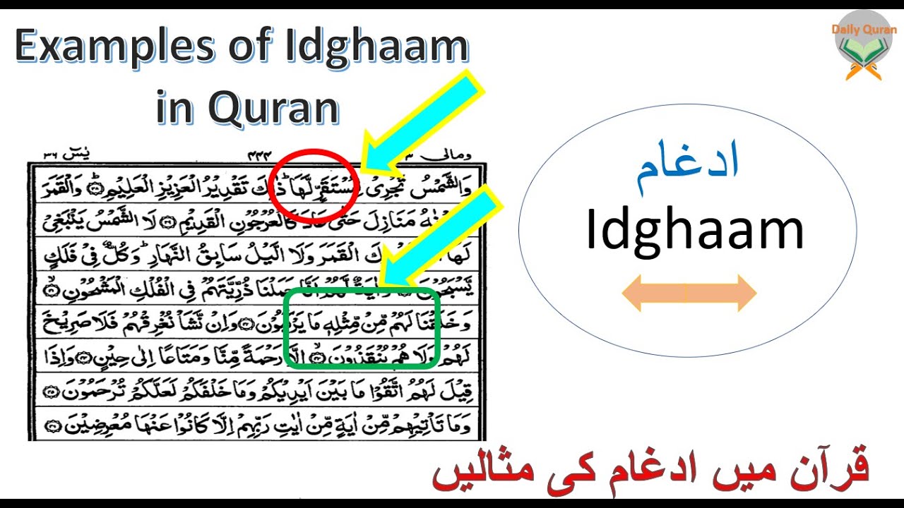 17 - Learn Quran/ tajweed Daily ( Idghaam examples ) lesson - 17 Idgham rules/qaidah