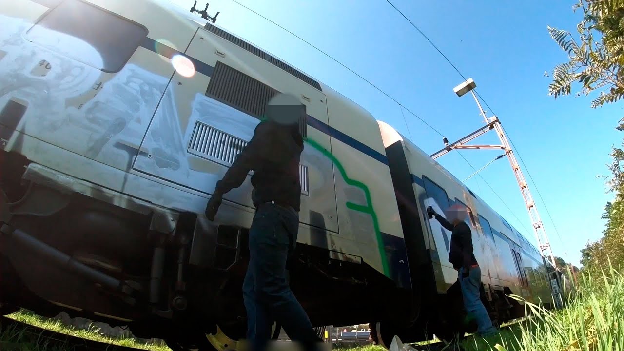 Graffiti Bombing | Zürich