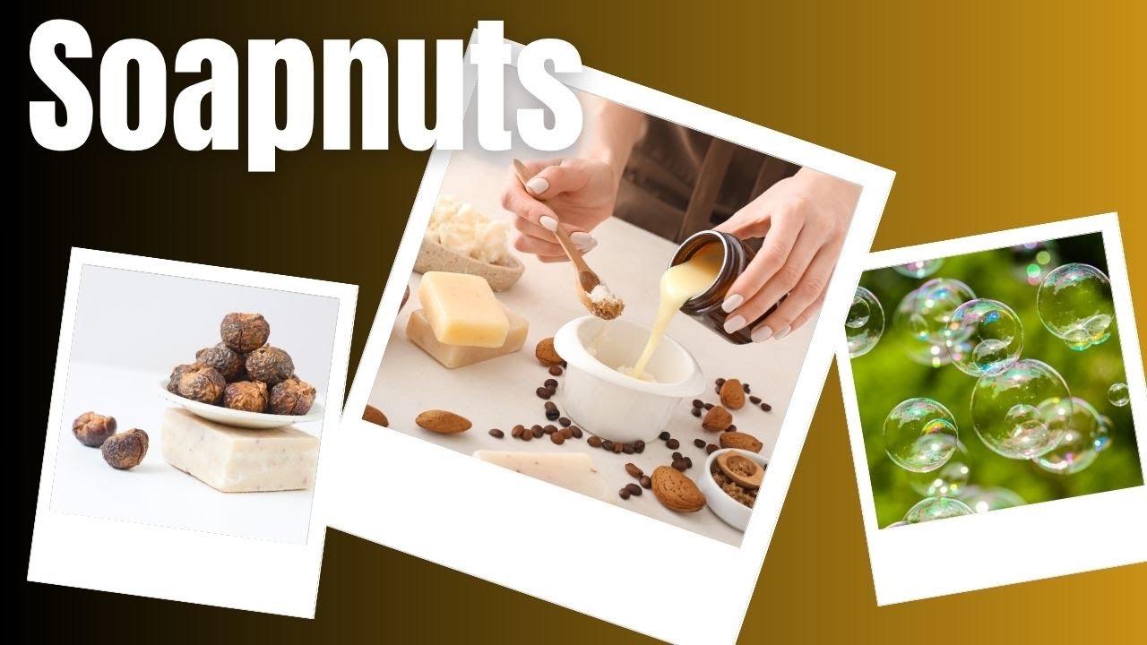 Soapnuts : Nature's Bubbly Secret!