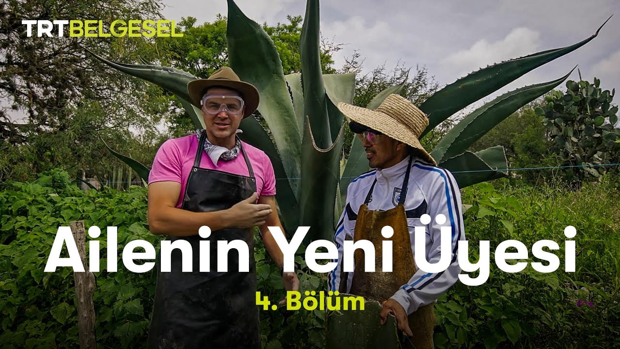 Ailenin Yeni Üyesi | Meksika | TRT Belgesel