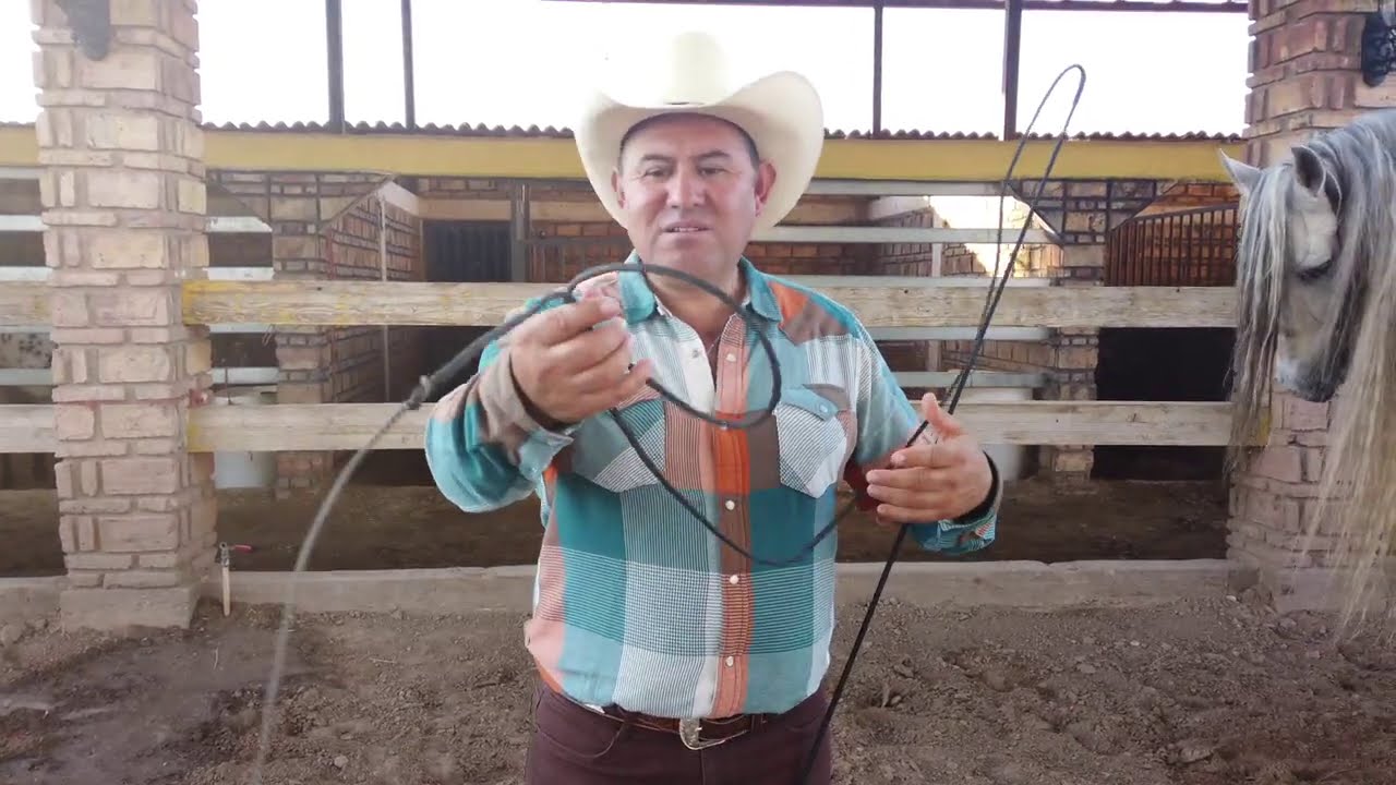 Como hacer para que tu Caballo Baile - Balanceo (Manos)