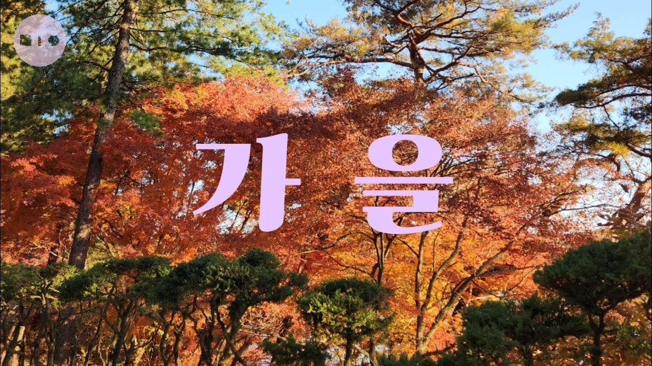 vlog 25 가을 일상 조각 모음