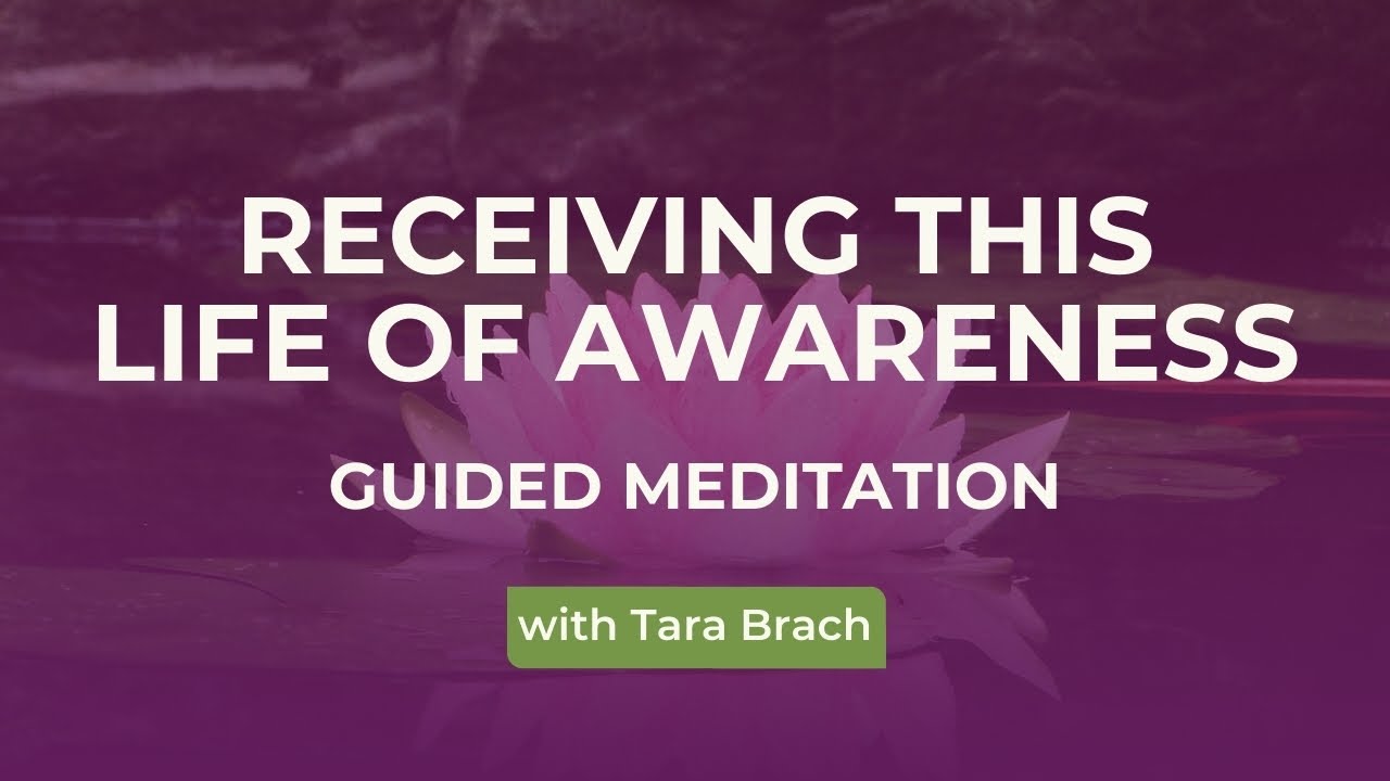 Guided Meditation: Receiving This Life of Awareness, with Tara Brach