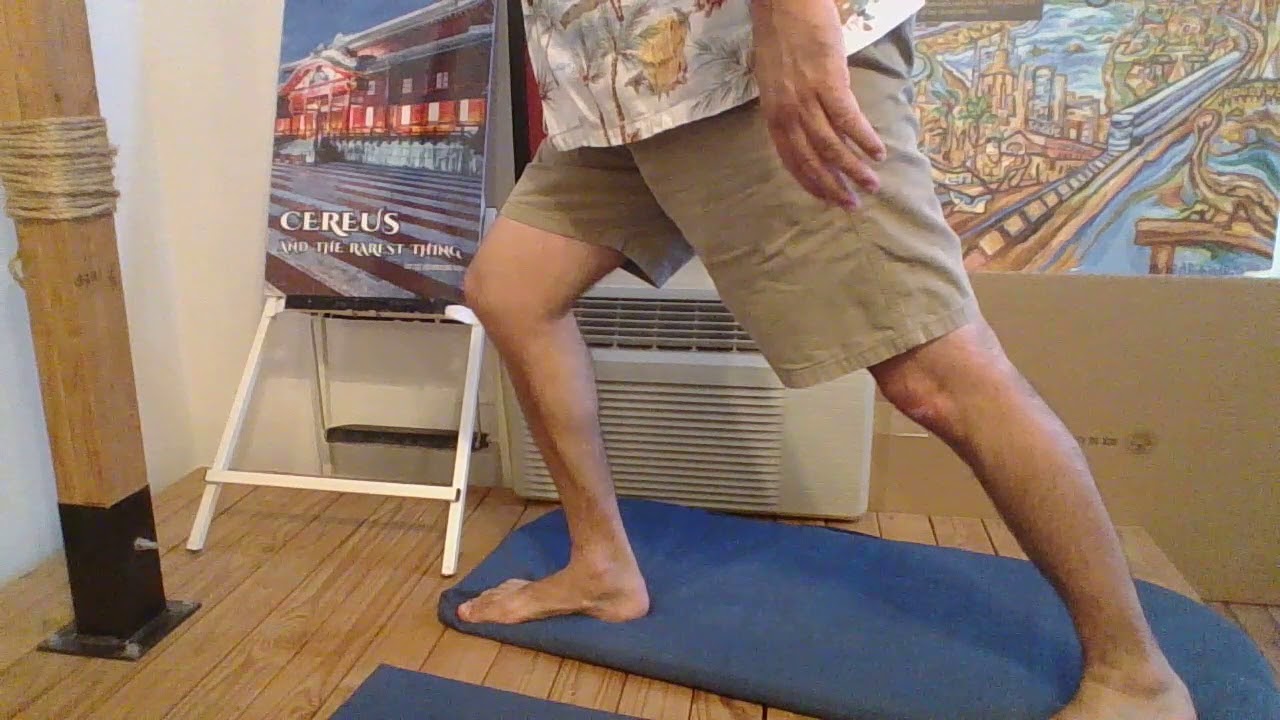 the value of Center of gravity in Martial arts (a look at the "Formal" stance)