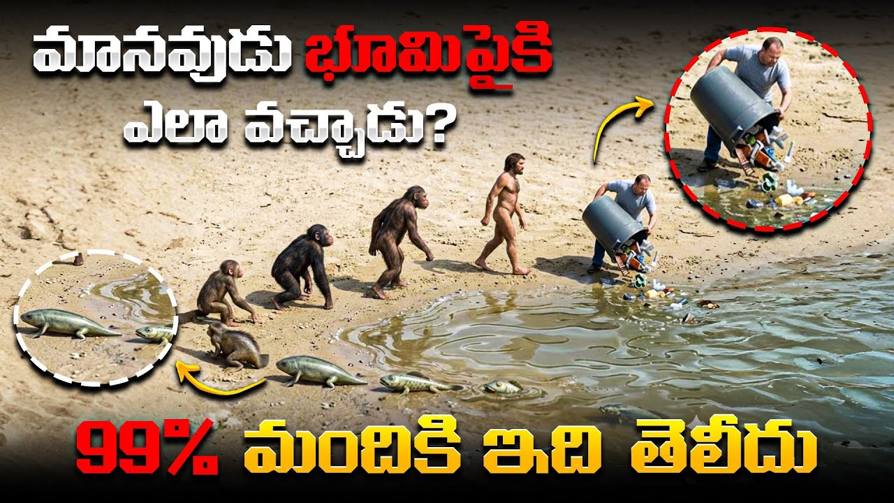 భూమిపైకి మొదటి మనిషి ఎలా వచ్చాడు? | How Life Began On Earth In Telugu | Human Evolution In  Telugu