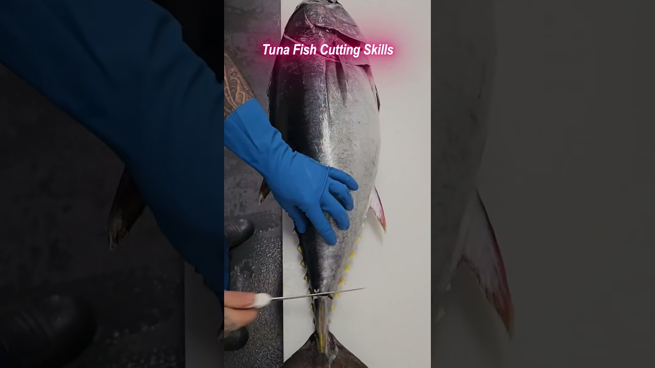 tuna fish cutting skills 2  