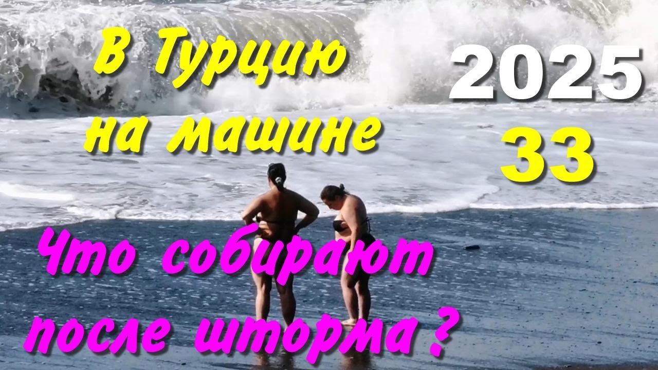 В Турцию на машине. 2025, ч-33.Что собирают после шторма?