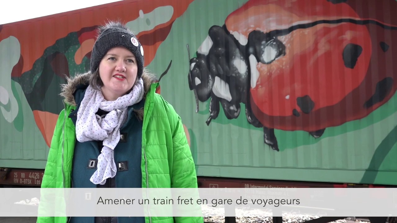 Train de No&eacute; : le fret engag&eacute; sur une voie durable