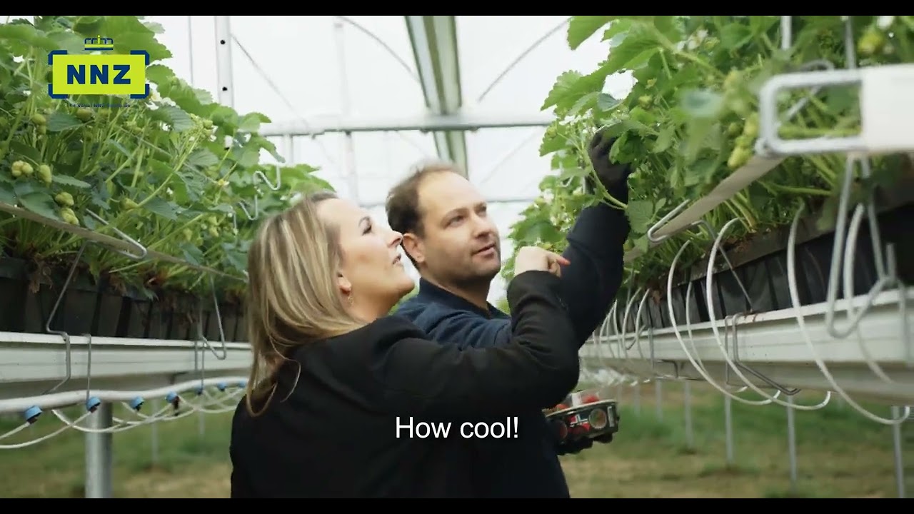 NNZ CUSTOMISED SOLUTIONS | AGRO RETAIL