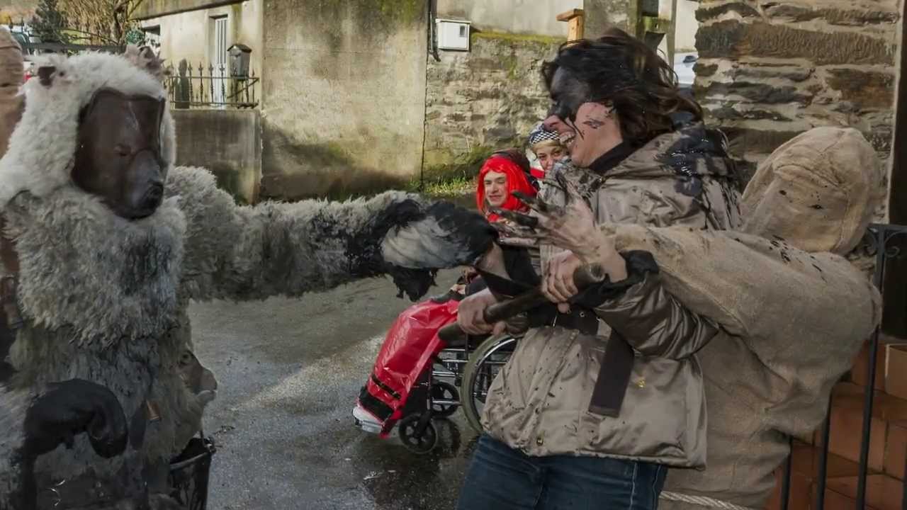 El oso de Salcedo 2014
