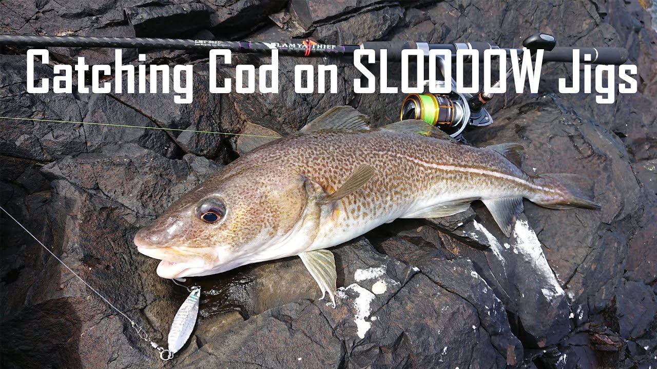 Lure Fishing | Catching Cod with Slow Jigs