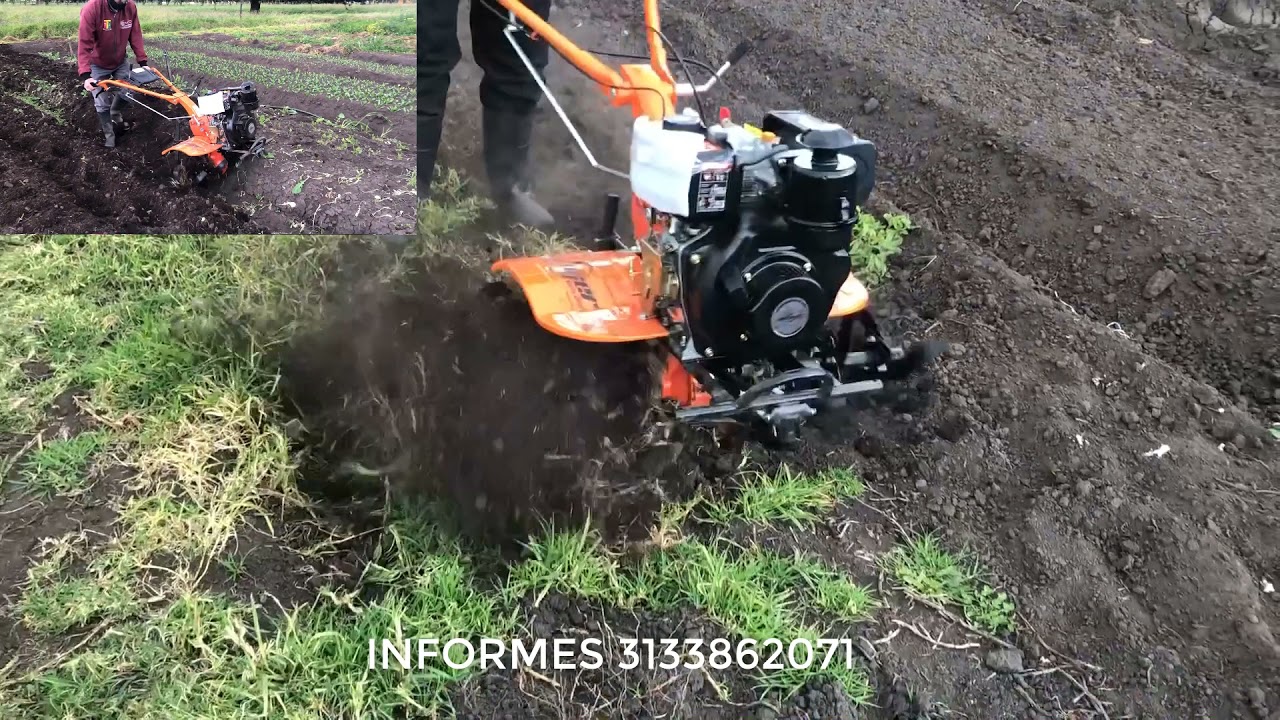 MOTOAZADA 7hp DIESEL AGROGER TRABAJANDO terrenos mixtos