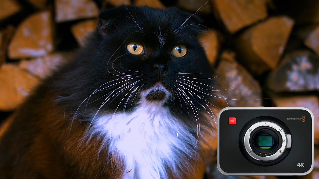 Blackmagic production camera 4k Разные объективы.