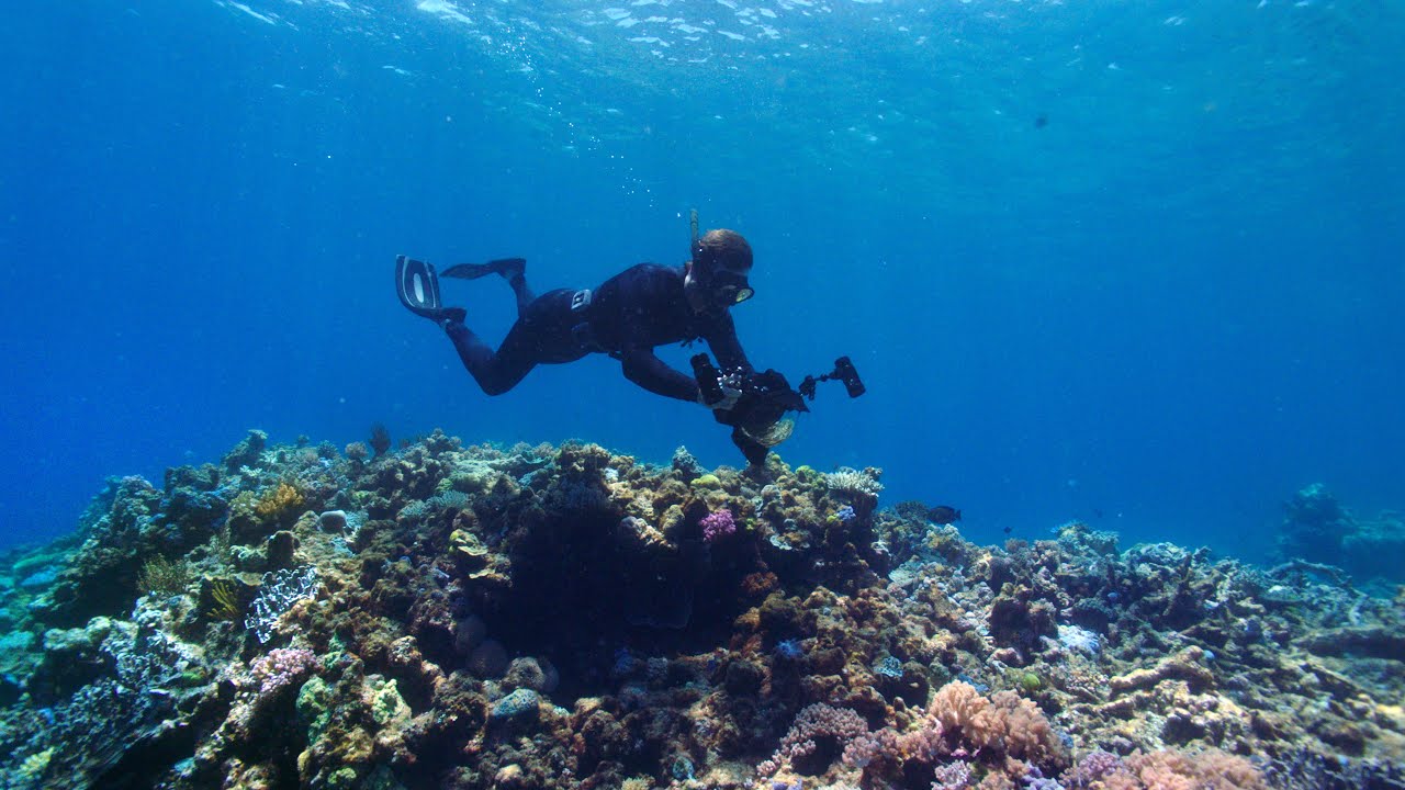 Finding blue holes with Google Maps