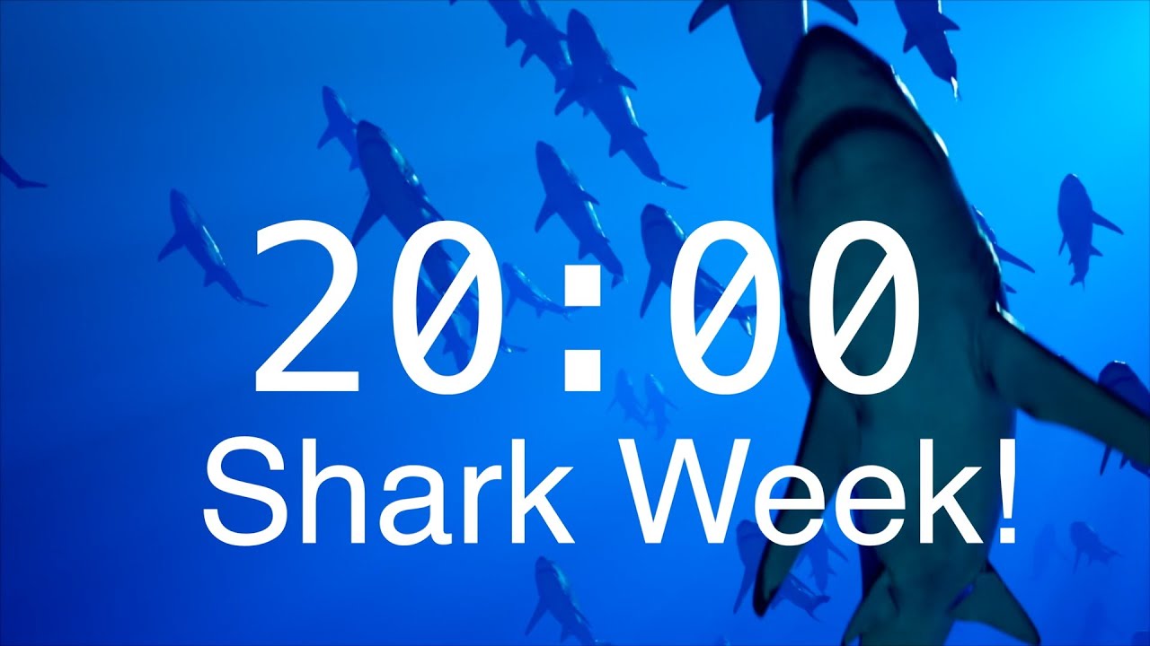 20 Minute Countdown Timer with Alarm | Relaxing Music | Shark Timer | Shark Week!🦈