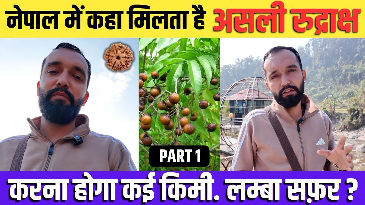 Janiye Nepal me kha milta h original Rudraksh |जानिए नेपाल में कहाँ मिलेगा असली रुद्राक्ष#viralvideo