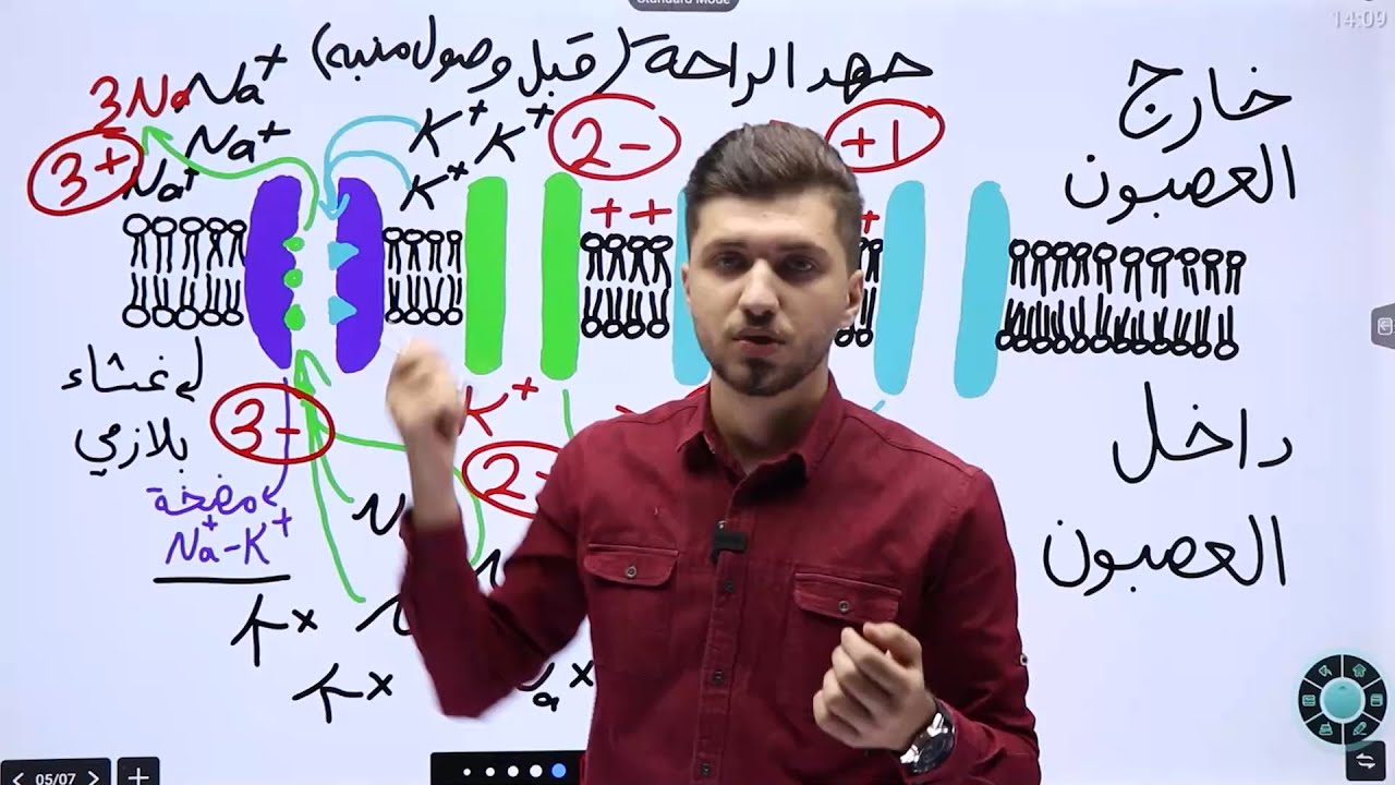 أحياء أول ثانوي | تركيب العصبون وجهد الراحة | الأستاذ محمد القاضي