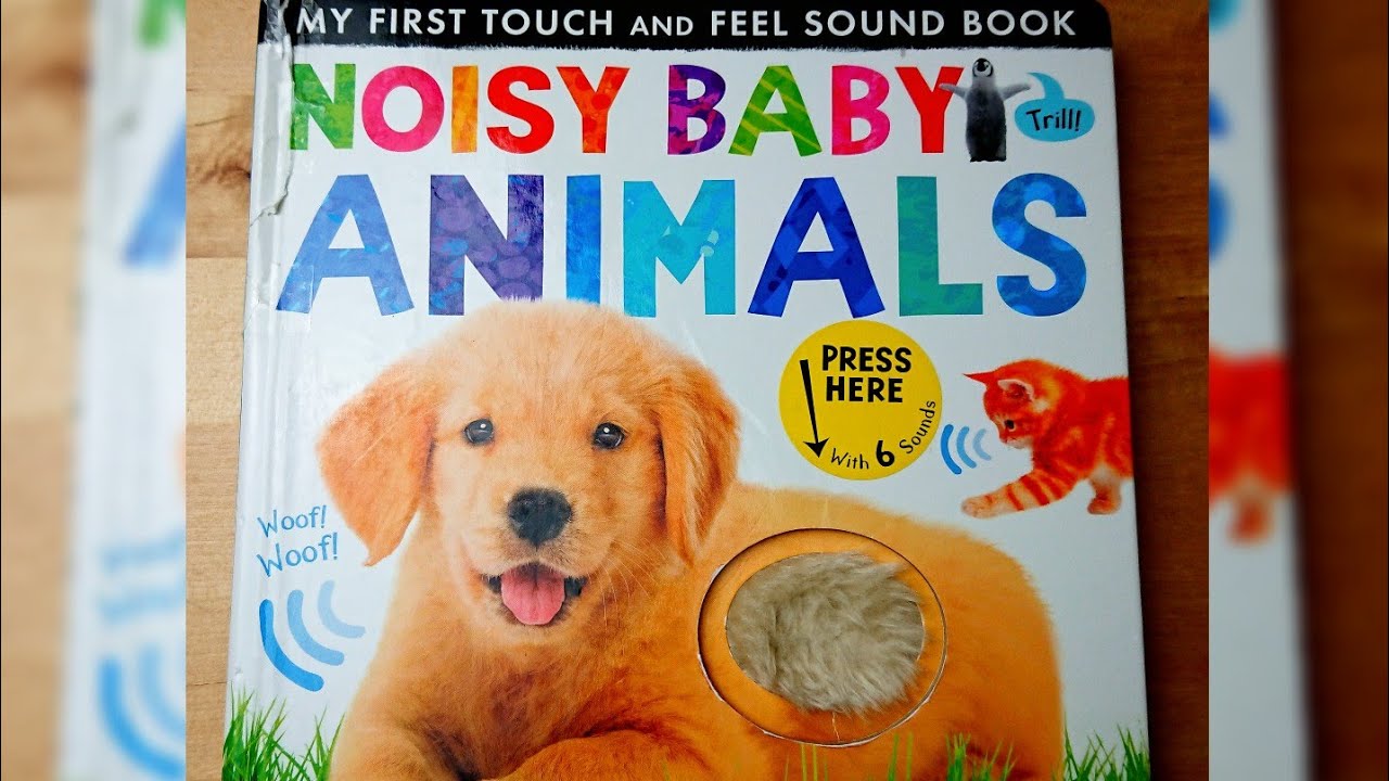 🐕🐈🐧🦁🐘Noisy Baby Animals My first Touch and Feel Sound book