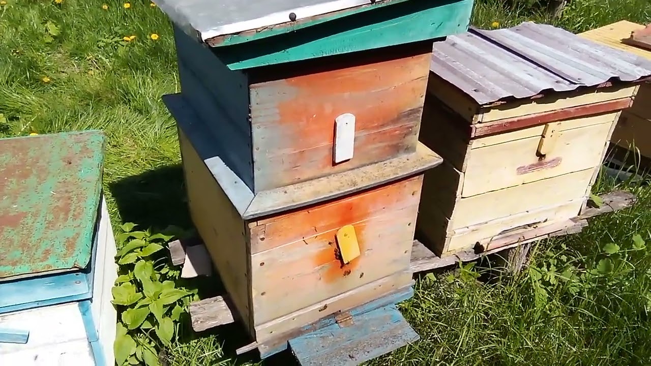 Постановка другого корпусу на вулик