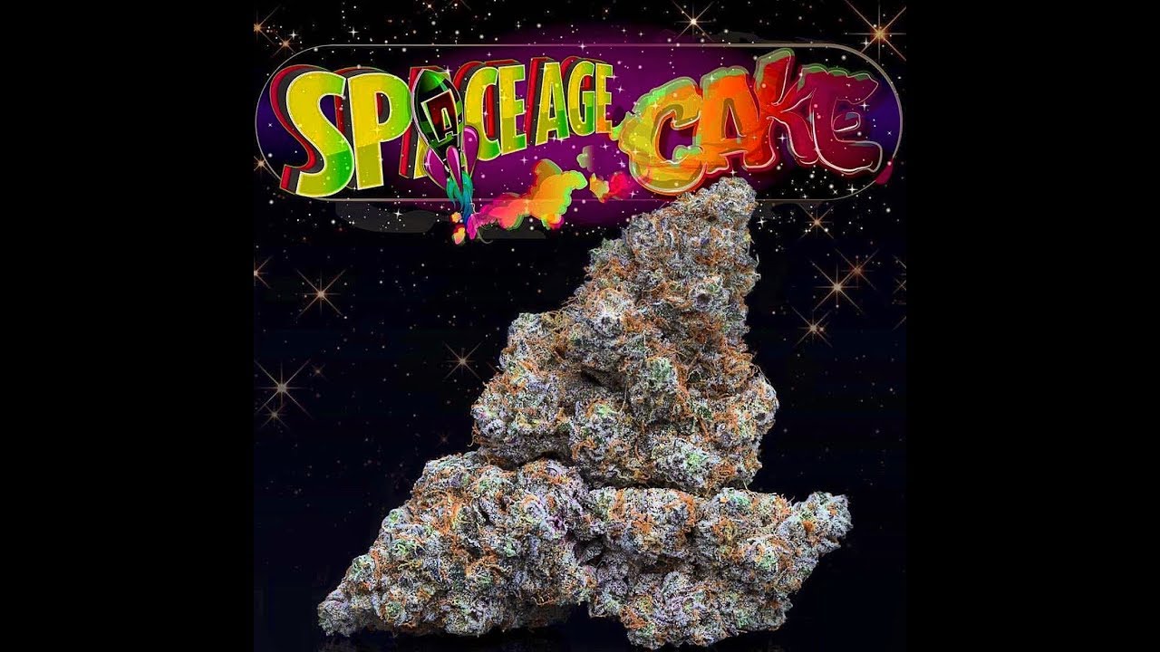 Jungle Boys SPACE AGE CAKE🚀🎂 strain review(24%THC)