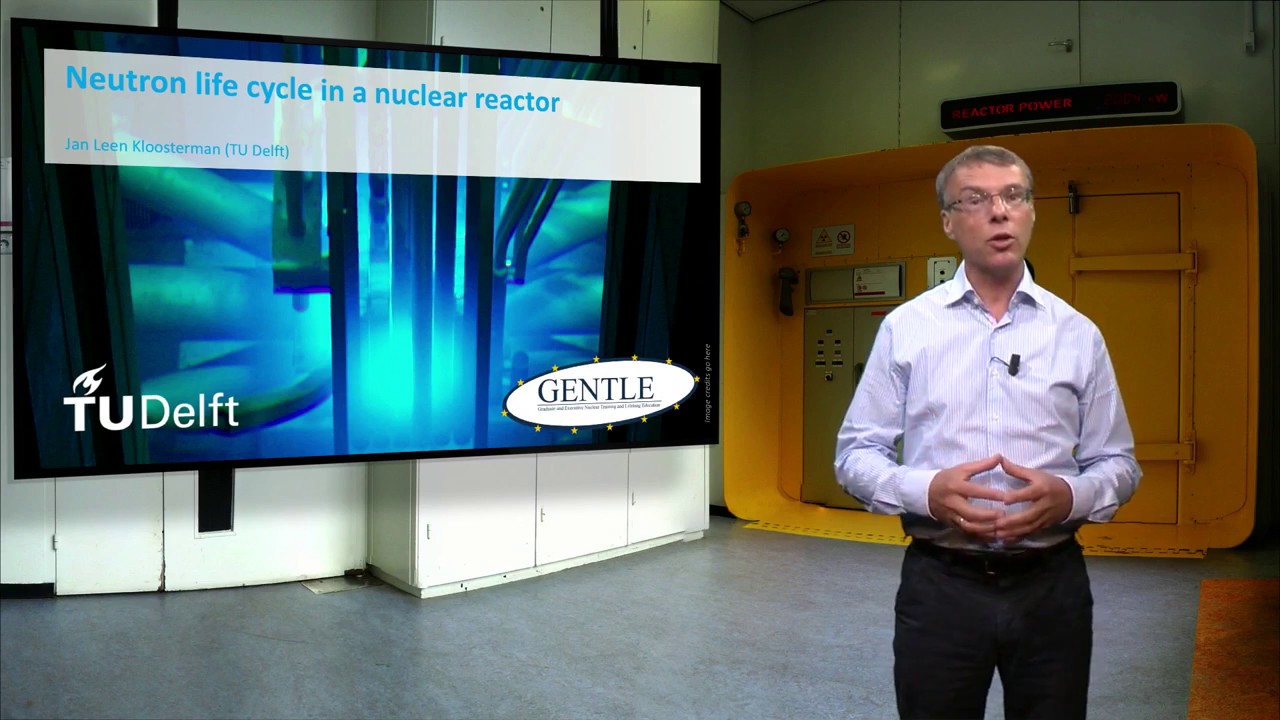 Neutron life cycle in a nuclear reactor
