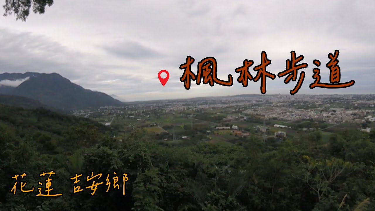 【登山健行】楓林步道ㅣ吉安鄉ㅣ楓葉ㅣ市景ㅣ海景ㅣ花蓮ㅣ秘境