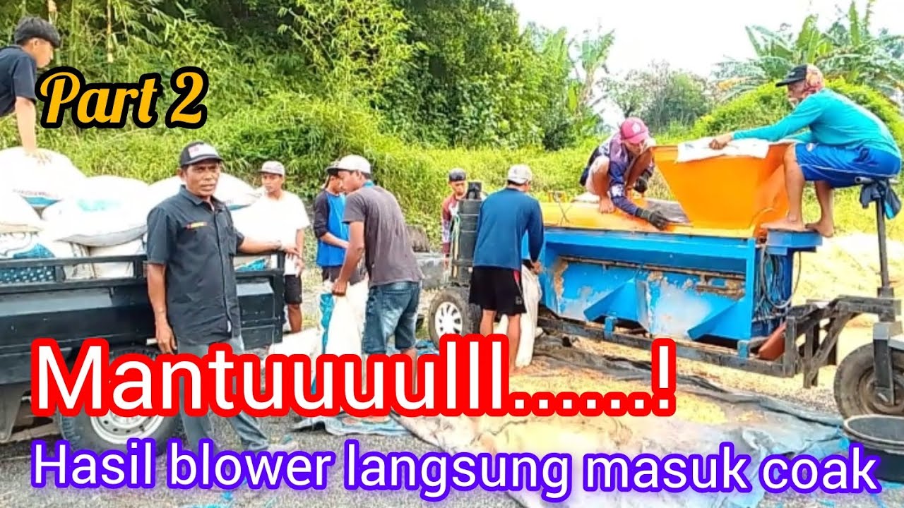 Jagung langsung muat coak #viralvideo #fypシ゚viral #blowerjagung 