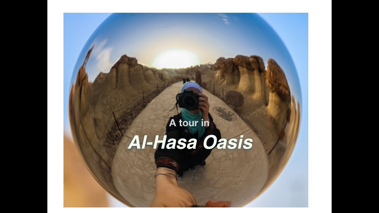 HASSA OASIS _ Eithar Al-Dibs