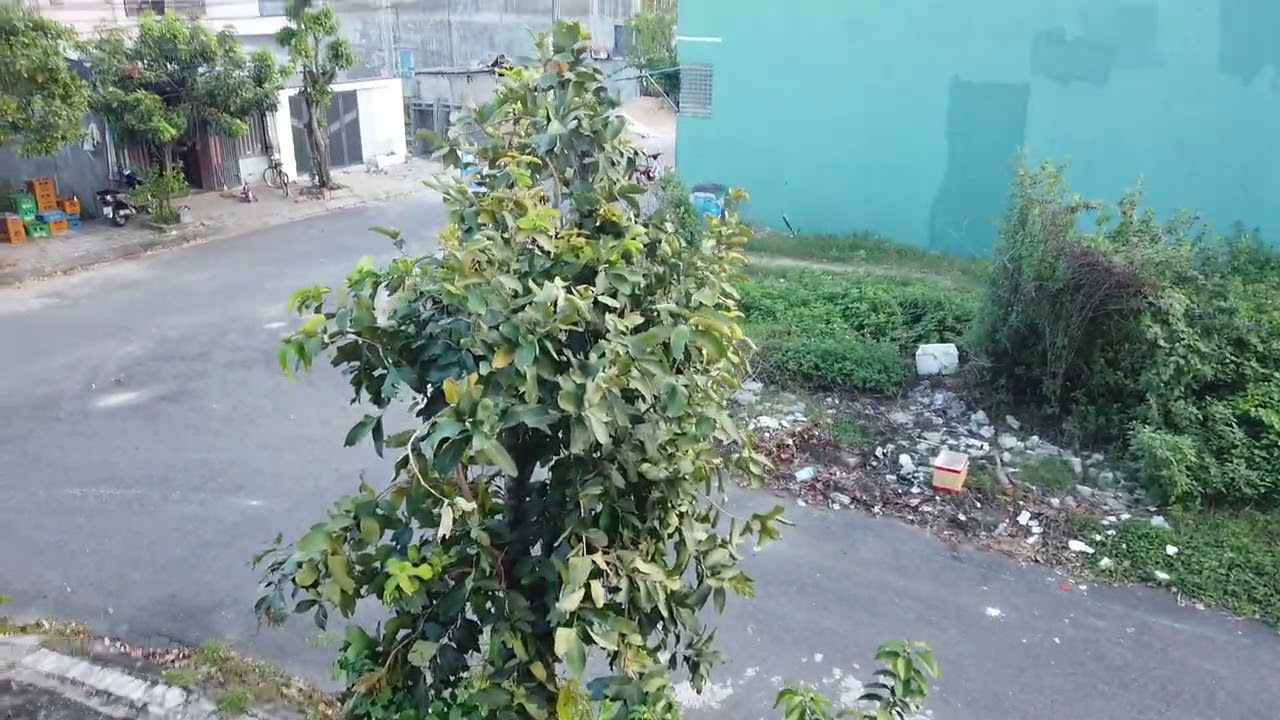 Lời hay ý đẹp về cuộc sống