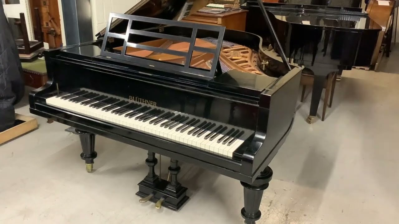 Assessment of a Bluthner 175cm grand 1925 + loose tuning pins - replacing wrest plank.