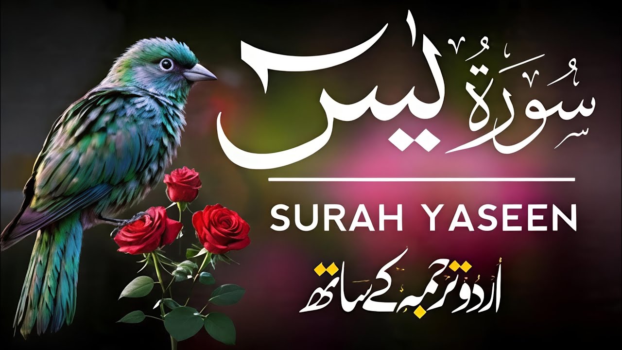 Surah Yaseen Beautiful Recitation Al-Quran 
