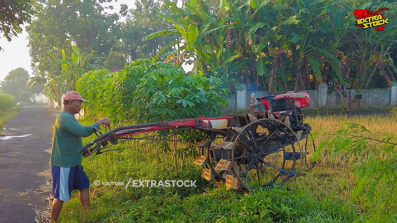 Mumpung Masih Pagi Traktor Sawah Langsung Kerjakan Lahan Pertama