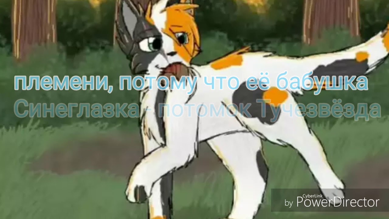 Коты-Воители факты о Маковке
