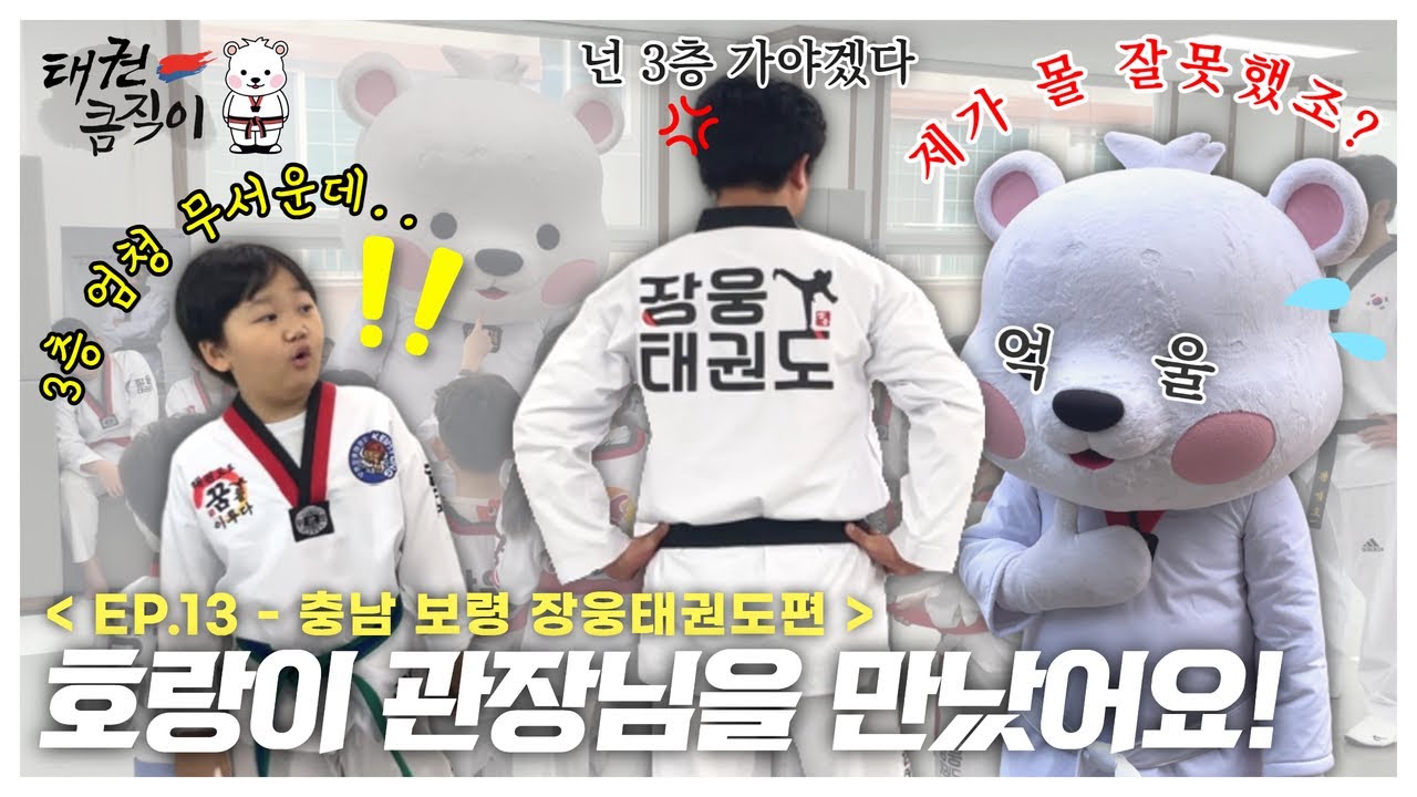 호랑이 관장님을 만났어요!🐻&zwj;❄ [EP.13 충남 보령 장웅태권도편] taekwondo president keumjeegi