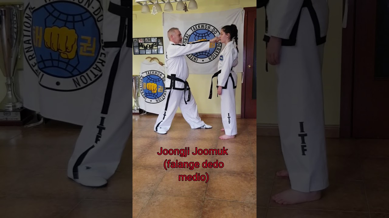Taekwon-do ITF Variantes de golpes de puño (2°parte)