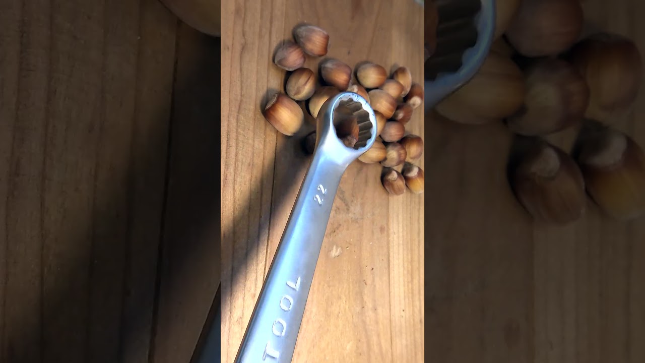 Remember this trick on how to quickly peel hazelnuts. #shorts