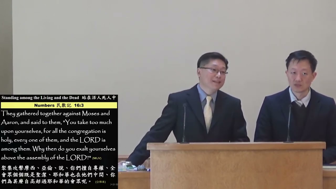 站在活人死人中间 杨志豪