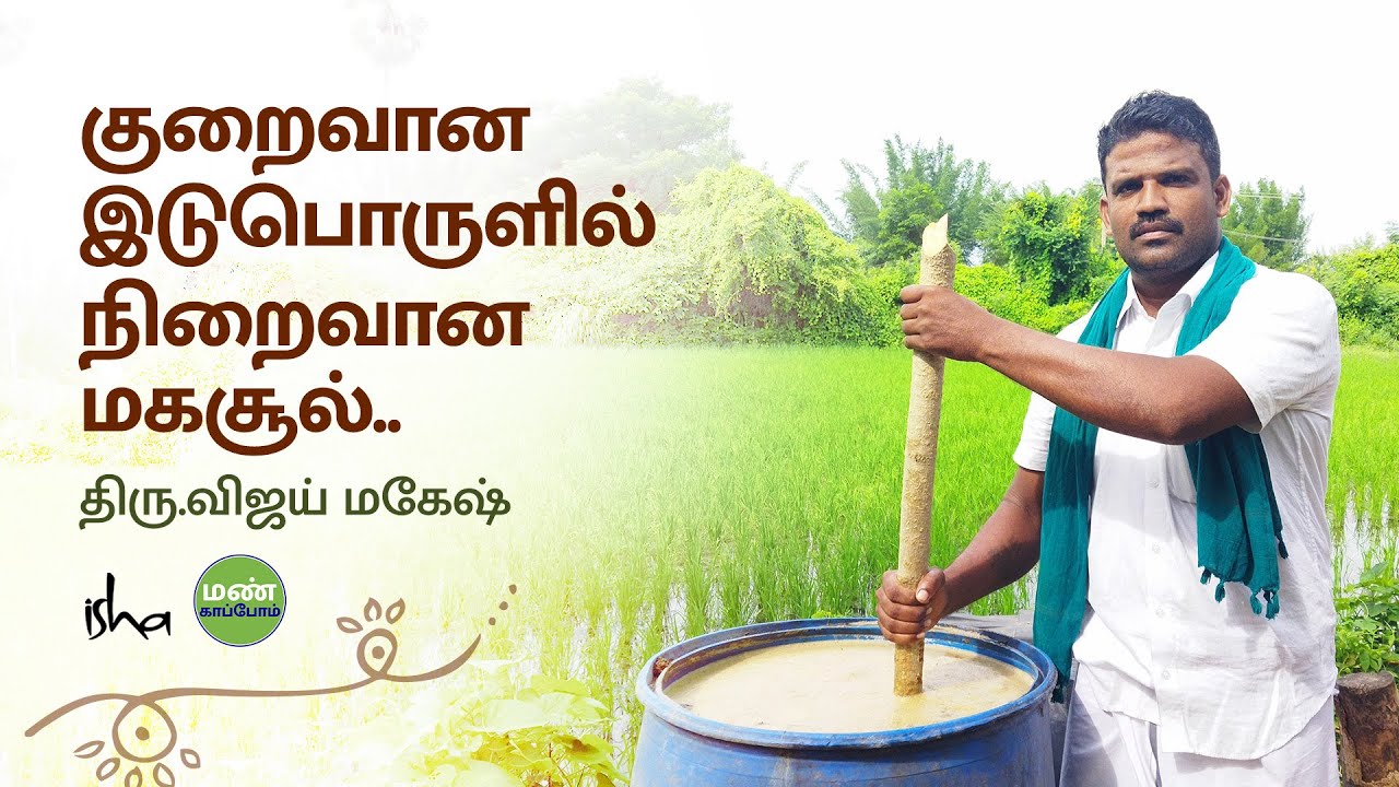நெல்லுல இந்த மூன்று விஷயம் செய்தால் மகசூல் அள்ளலாம்.