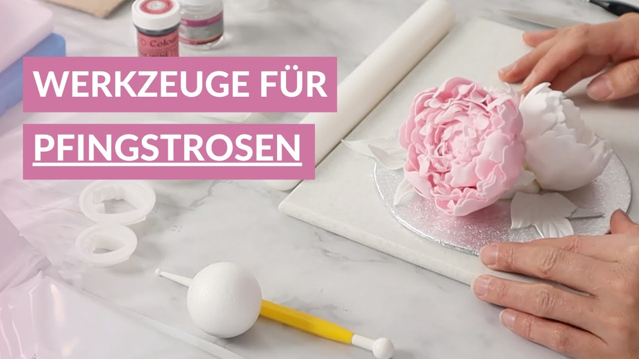 Diese Werkzeuge brauchst du, um eine Pfingstrose aus Zucker zu machen.