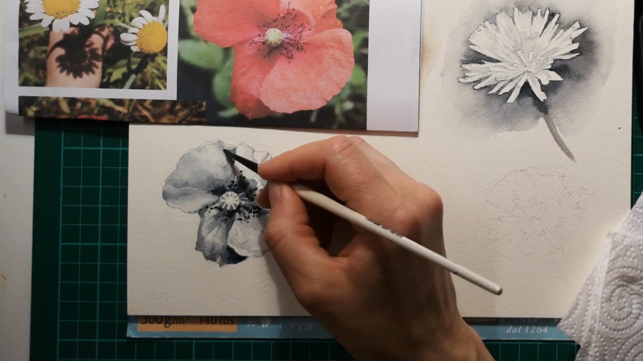 Watercolor Lesson. Poppies from Grayscale to Red
