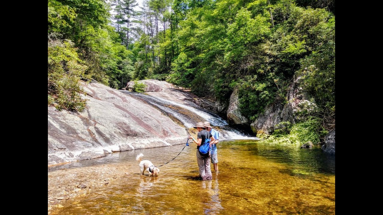 Exploring Steels Creek - Pisgah National Forest, NC