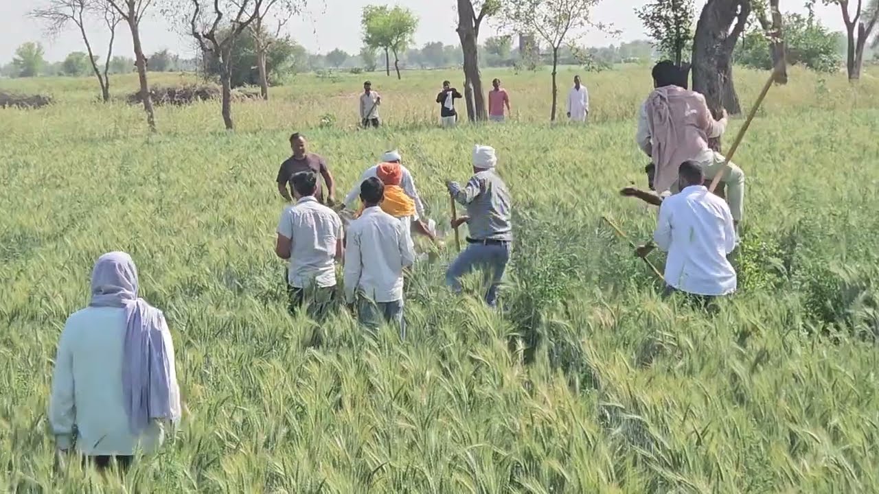 जंगली जानवर का वन विभाग और ग्रामीणों के द्वारा रेस्क्यू नोहर के 16 JSN में 