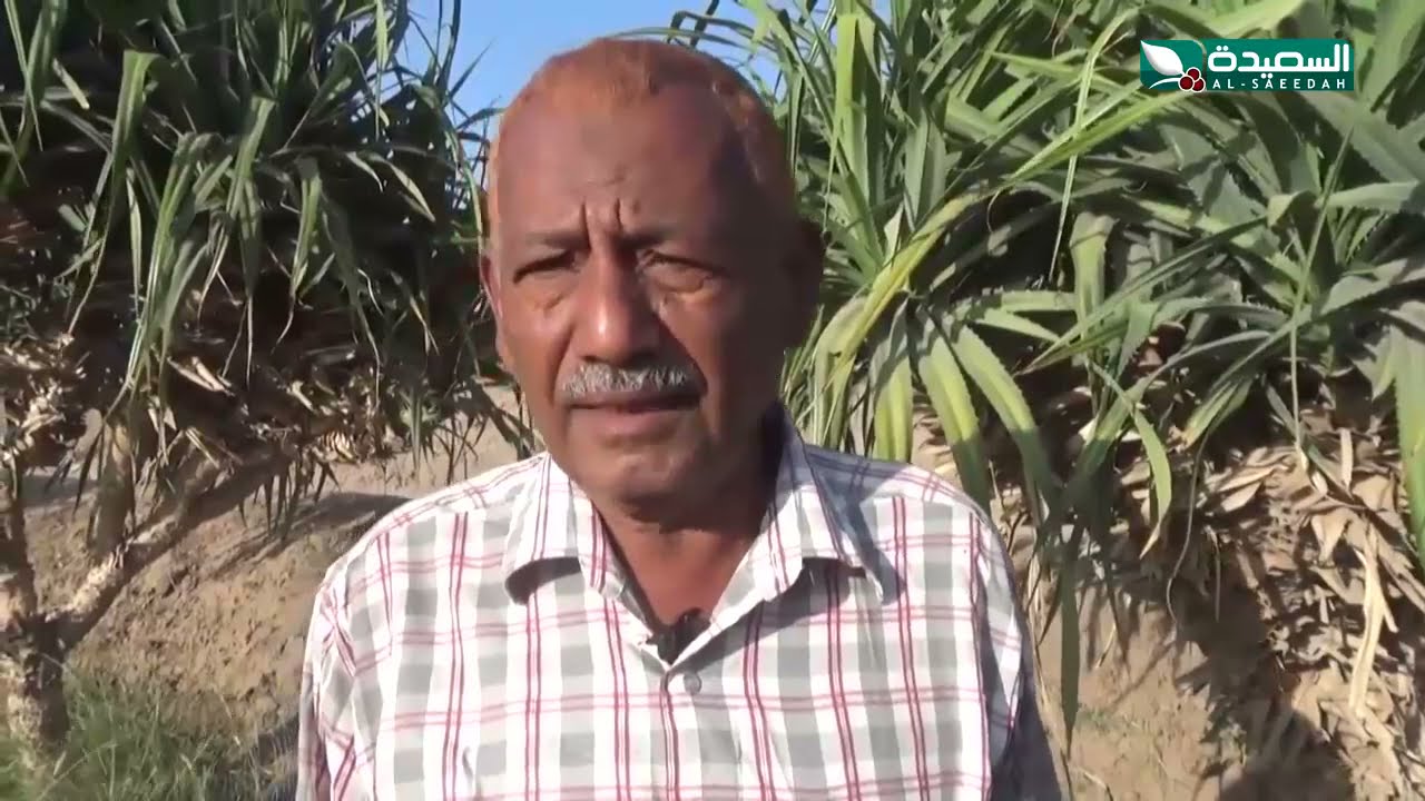 في لحج منطقة أسمها كوكبان على ضفاف وادي تبن نتعرف عليها