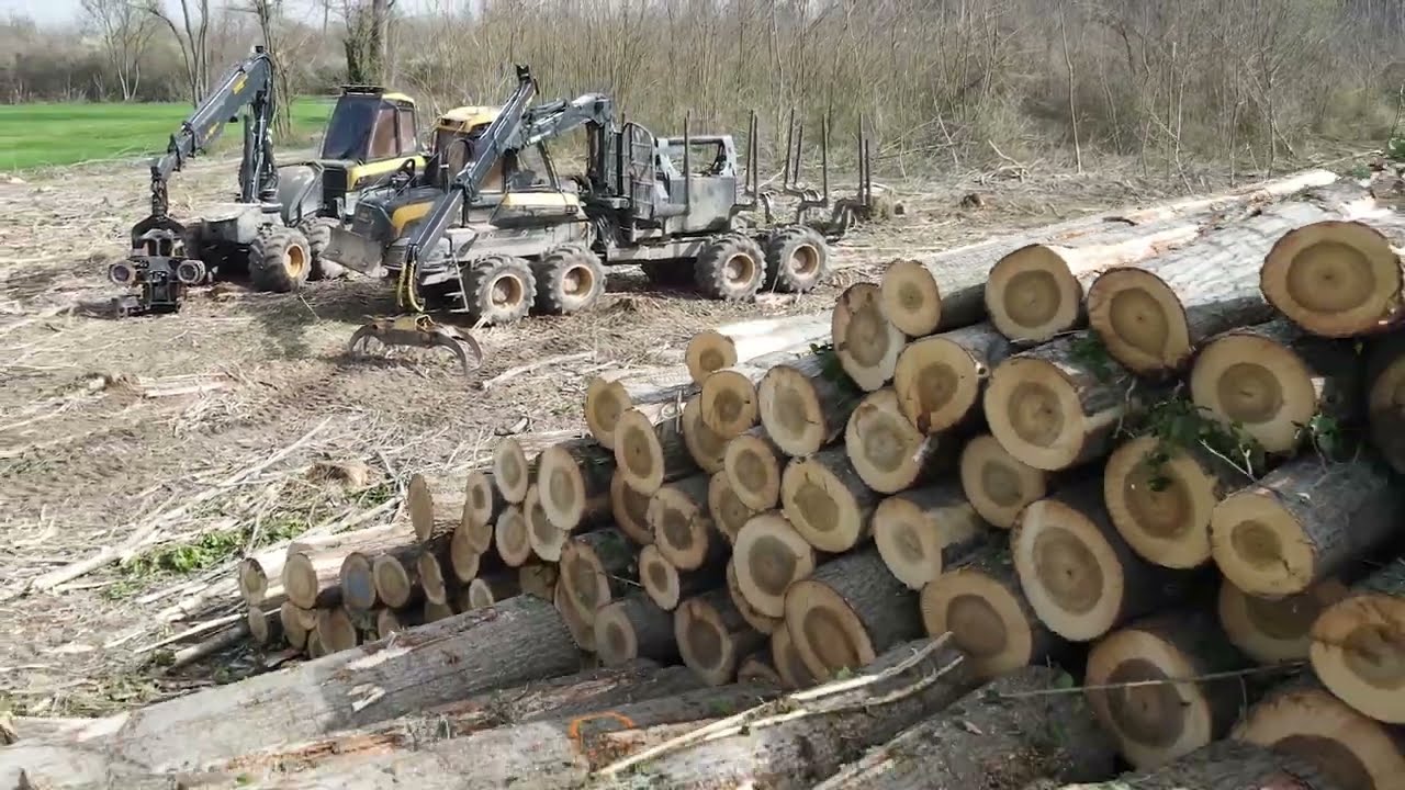 ETS GUY PIROIRD & FILS : Exploitant Forestier à VILLETTE-DE-VIENNE 38