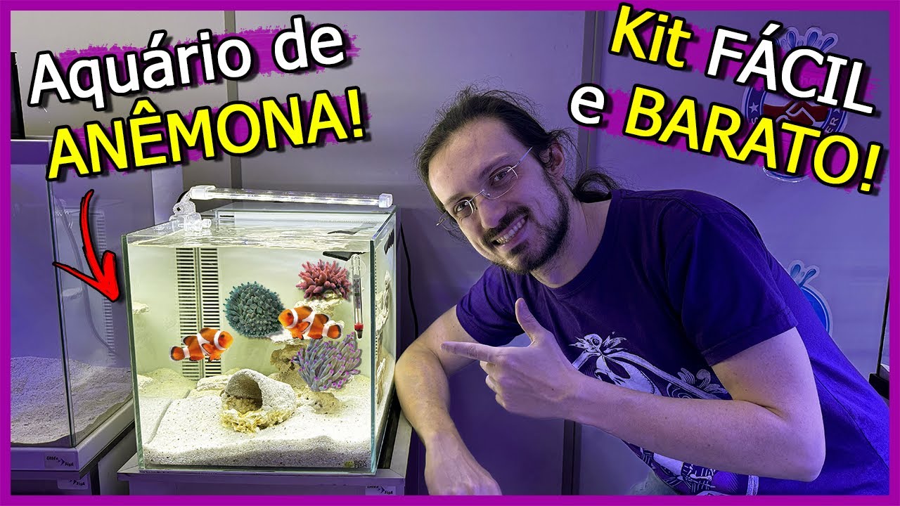 Como Montar um Aquário Marinho para ANÊMONAS! - Kit BARATO e FÁCIL!