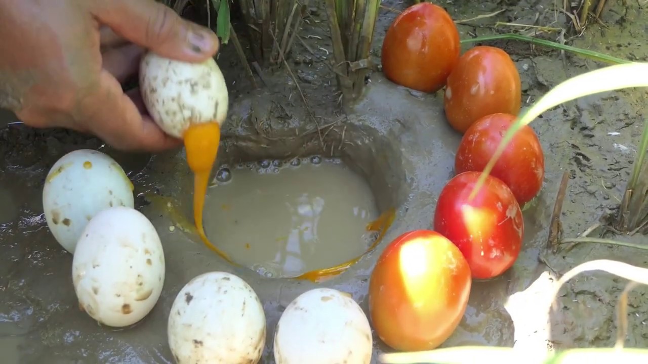 Experiment : Unbelievable Fishing With Eggs And Tomatoes To Catch Catfish In Hole