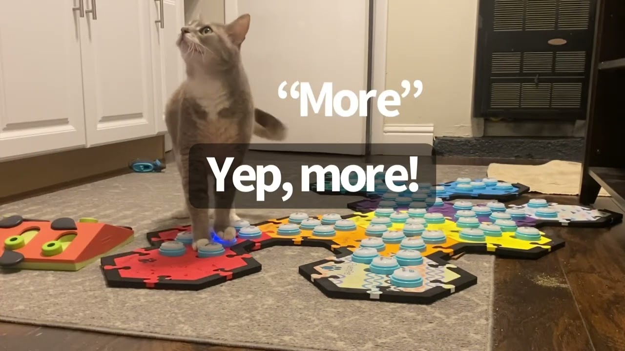 We’re Done When I Say We’re Done! | BilliSpeaks