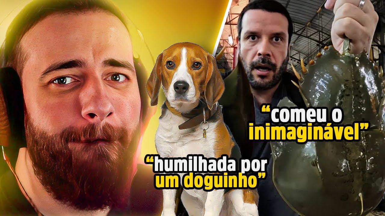 Olka reage a 'Mercados EXÓTICOS da Tailândia' e 'Cão K9: Mulher filmava cão farejador e...'