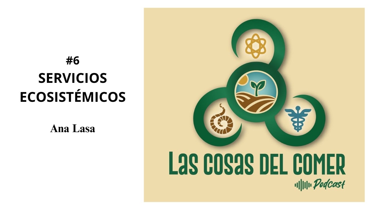#6 SERVICIOS ECOSISTÉMICOS con Ana Lasa, 22-02-2026