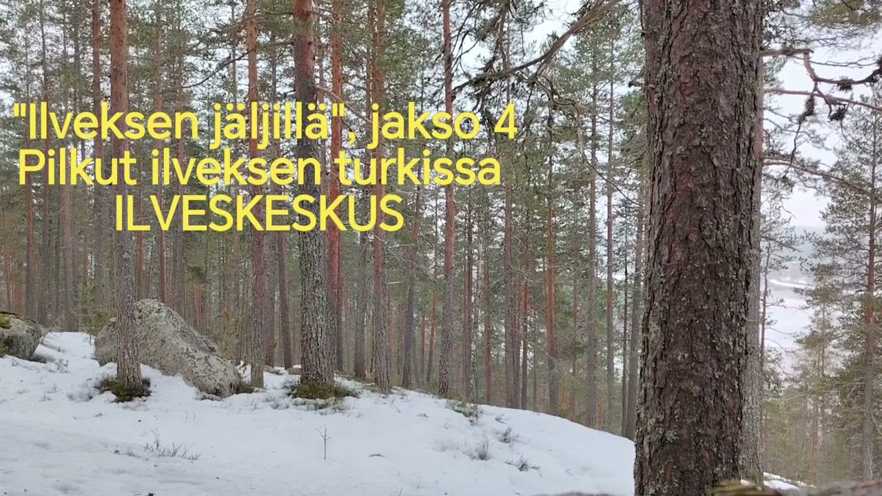 Pilkut ilveksen turkissa? 